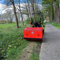 Muratori MT31R klepelmaaier / verticuteermachine met opvangbak - Image 11