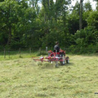Cirkelschudder / hark (unieke combinatiemachine!) - Image 4